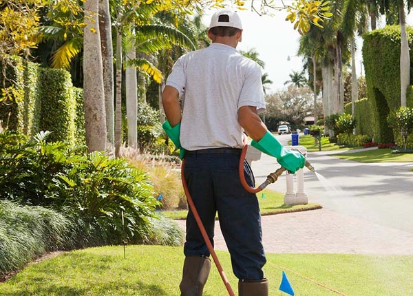 About Britton SD Pest Control